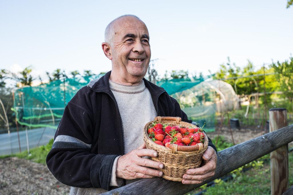 Cascina Arcangelo Raffaele Verduno Εξωτερικό φωτογραφία